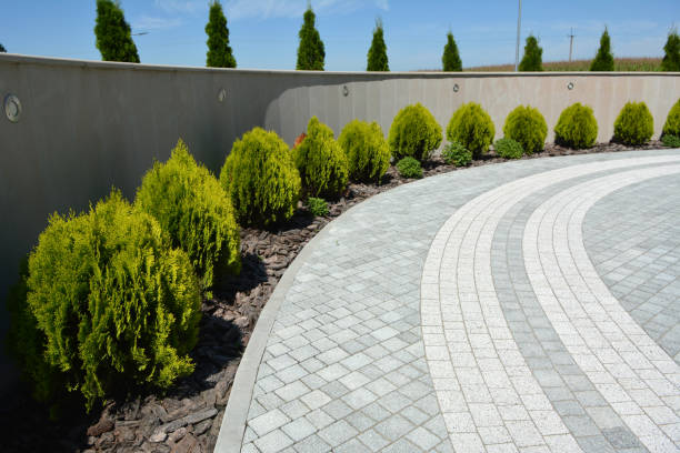 Best Professional Driveway Pavers  in Avenue B And C, AZ